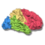 BrainVoyager Icon