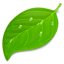 Coda Icon