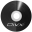 DivX Icon