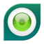 ESET Cybersecurity Icon