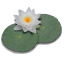 LilyPond Icon