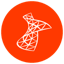 Microsoft SQL Server Icon