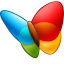 MSN Explorer Icon