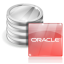 Oracle Database Icon