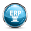 SAP ERP Icon