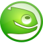 SUSE Linux Enterprise Server Icon
